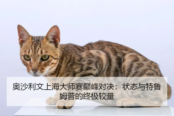 奥沙利文上海大师赛巅峰对决：状态与特鲁姆普的终极较量