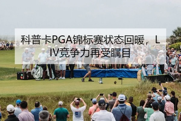 ke-pu-ka-jin-biao-sai-zhuang-tai-hui-nuan-jing-zheng-li-zai-shou-zhu-mu-2-540.jpg