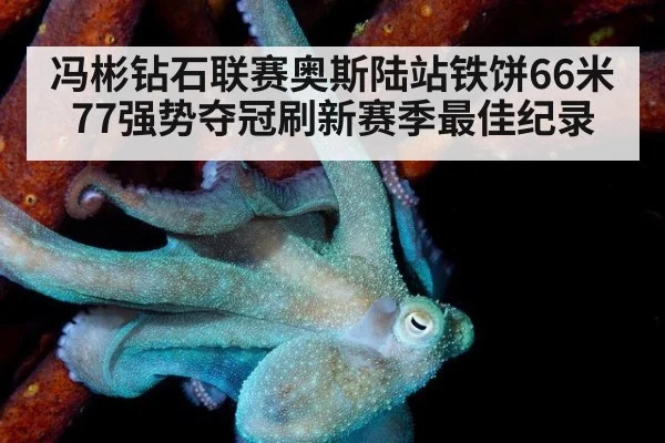 冯彬钻石联赛奥斯陆站铁饼66米77强势夺冠刷新赛季最佳纪录