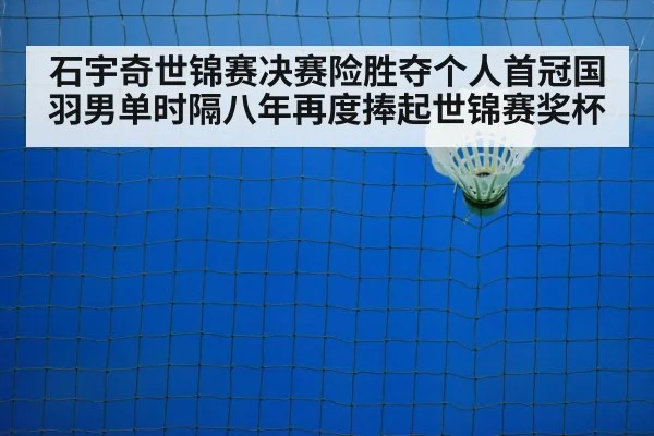 badminton net play